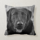 Search for black labrador cushions Animals