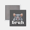 Search for rat magnets Animal lover