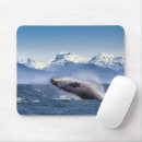 Search for breaching electronics Alaska
