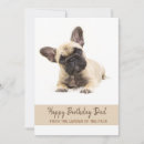 Search for french bulldog cards Cute