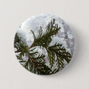 Search for evergreen badges Snow