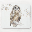 Search for brown owl electronics Grey
