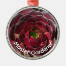 Search for succulents christmas tree decorations Desert plant