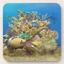 Search for snorkel coasters Fish