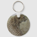 Search for cheetah cat key rings Nature