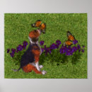 Search for butterfly dog posters Puppy