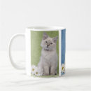 Search for rag mugs Cute