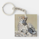 Search for kenya key rings Wildlife