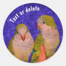Search for cute parrot stickers Animal