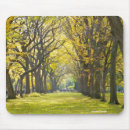 Search for park mousepads New york city