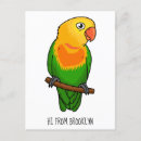Search for lovebirds postcards Parrot