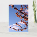 Search for new beginnings cards Flower