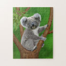 Search for koala bear puzzles Baby