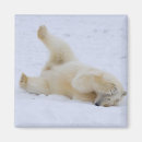 Search for threatened magnets Animal