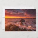 Search for carmel cards Coastline