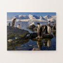 Search for antarctica puzzles Wildlife