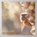 Search for pollinator posters Macro photography