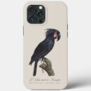 Search for cockatoo iphone cases Macaw