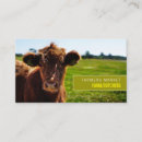 Search for cattle business cards Farm