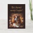 Search for daughter of the king Humour