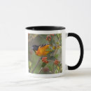 Search for baltimore oriole mugs Wildlife