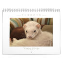 Search for calendriers Animal