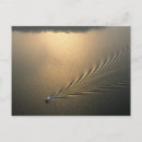 Search for panama canal postcards Boat