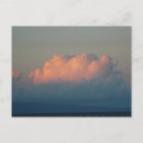 Search for hawaii postcards Pink