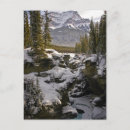 Search for canadian landscape postcards Snow