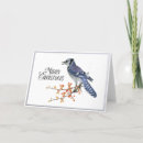 Search for blue jay christmas cards Bird