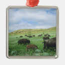 Search for bison christmas tree decorations Grazing