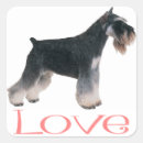 Search for love schnauzers stickers Dogs