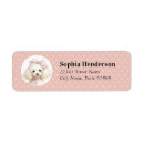 Search for white poodle dog return address labels Puppy