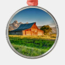 Search for grand teton christmas tree decorations Nature