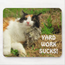Search for calico cat electronics Kitty