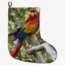 Search for parrot christmas stockings Cute