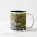 Search for mount rainier national park mugs Scenic