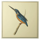 Search for bird drawing tiles Illustration