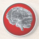 Search for anatomy coasters Brain