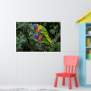 Search for rainbow lorikeet art Colourful