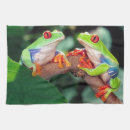 Search for treefrogs Two