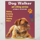 Search for blocks flyers Dog walker