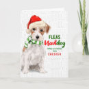 Search for jack russell terrier christmas cards Pets