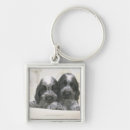Search for english cocker spaniel key rings Animal