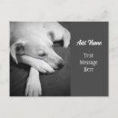 Search for black white paw print postcards Minimalist