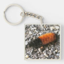 Search for caterpillar key rings Nature