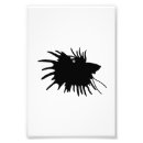 Search for betta posters Fighting