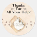 Search for moving boxes stickers Cat