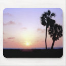 Search for vista electronics Sunset