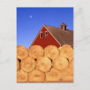 Search for hay barn postcards Harvest
